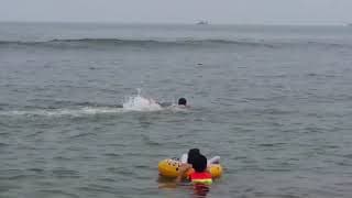 swimming2