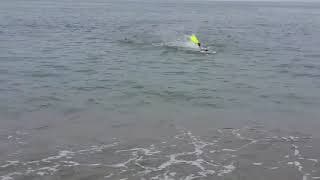 swimming1